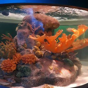 Meet your Posher, Magda